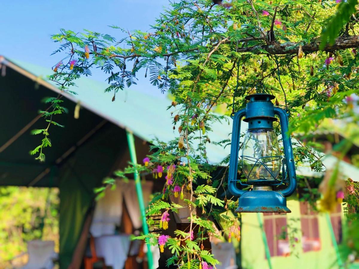 Eden Yala Hotel Buitenkant foto