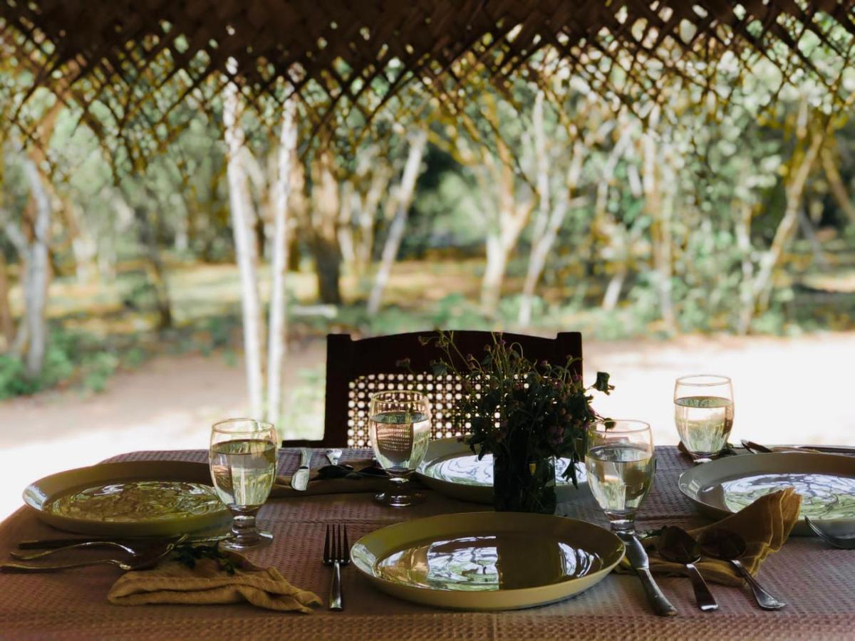Eden Yala Hotel Buitenkant foto