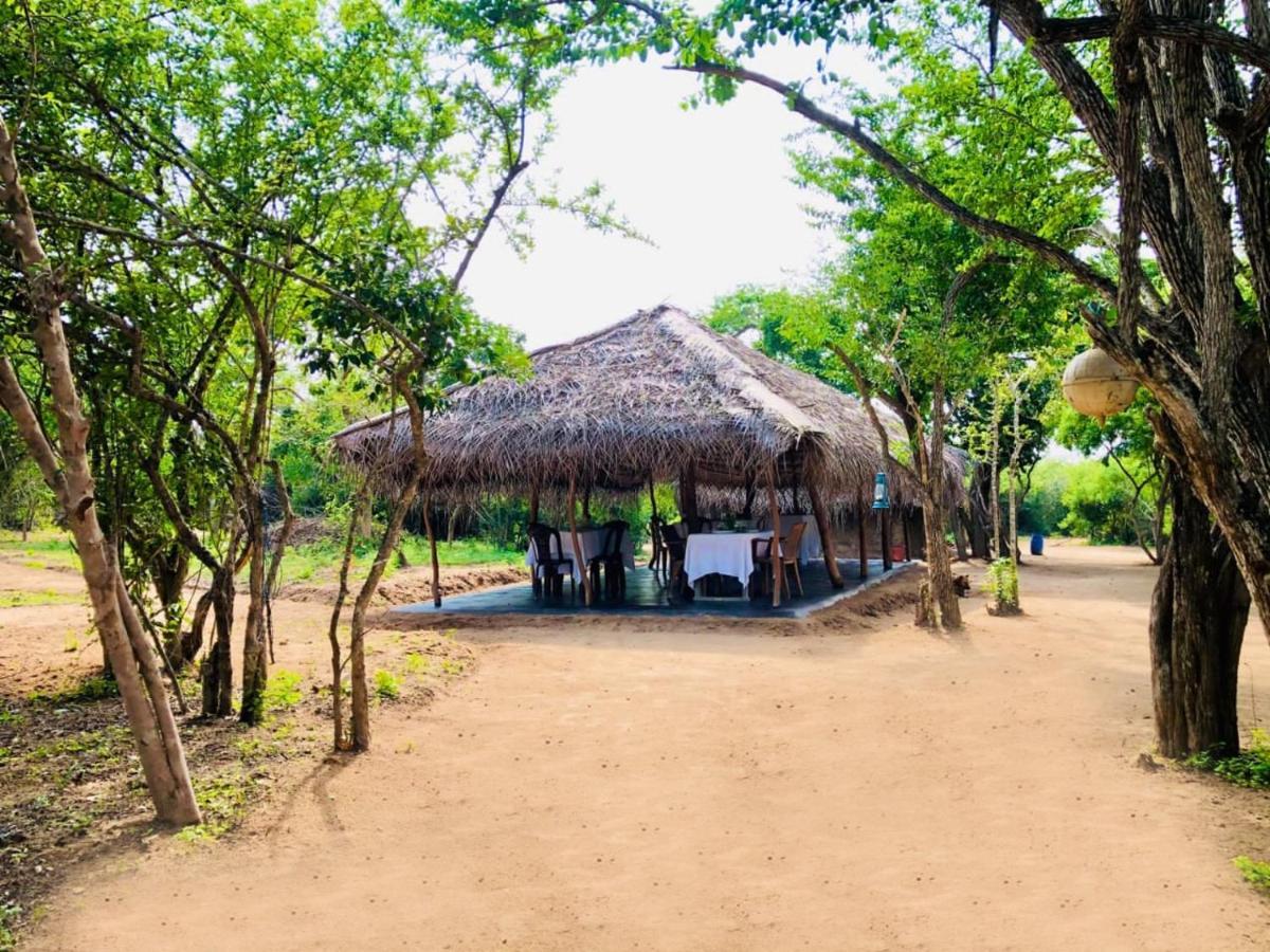 Eden Yala Hotel Buitenkant foto