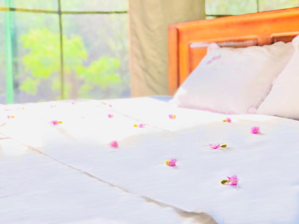 Eden Yala Hotel Buitenkant foto