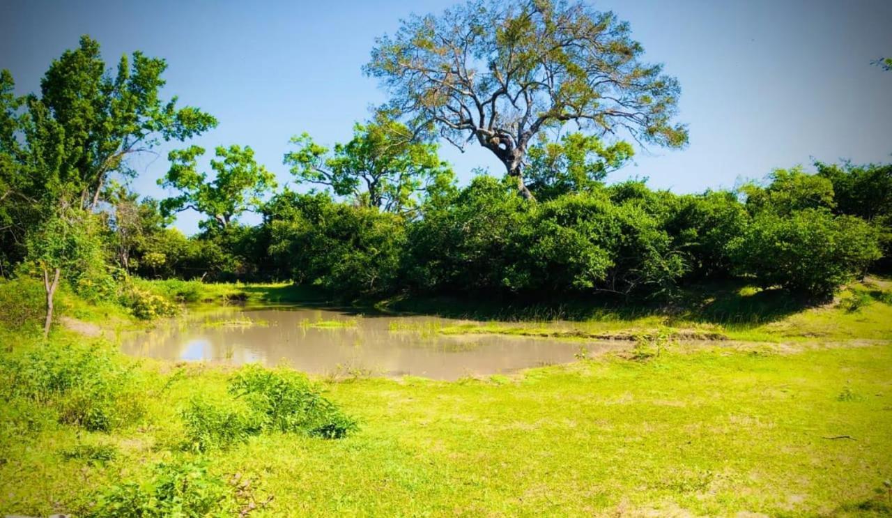 Eden Yala Hotel Buitenkant foto