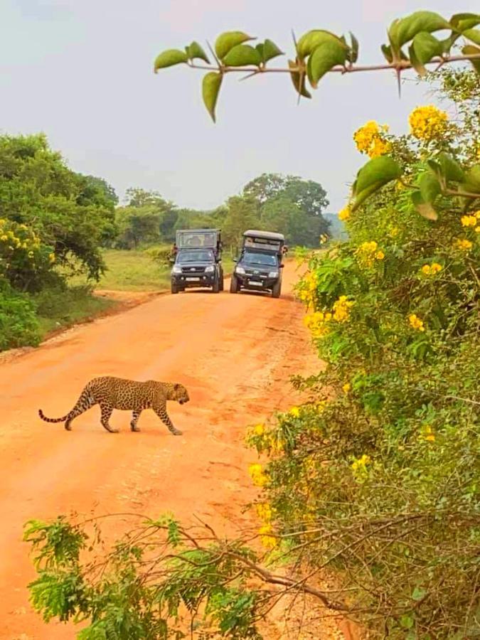 Eden Yala Hotel Buitenkant foto