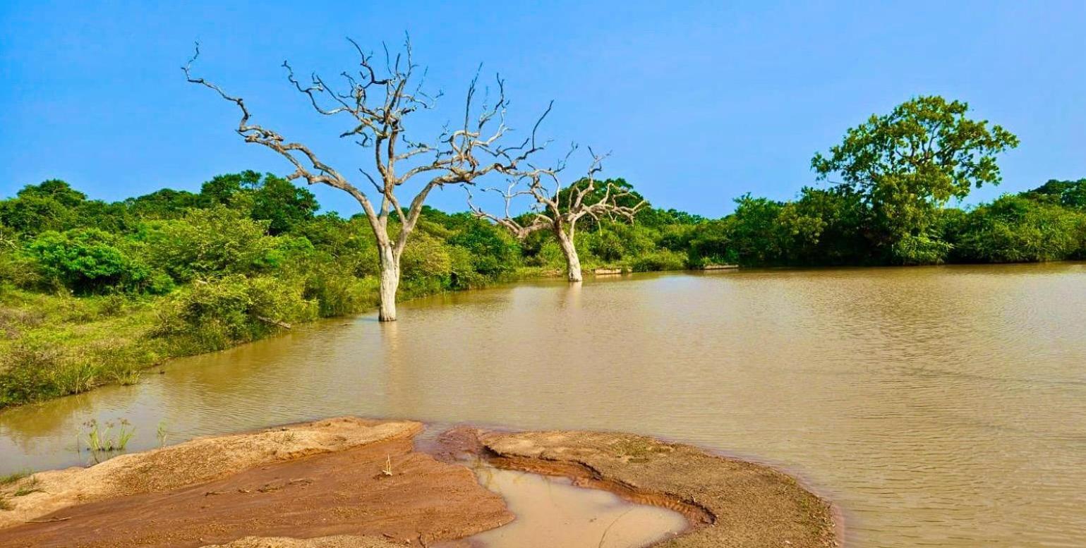 Eden Yala Hotel Buitenkant foto