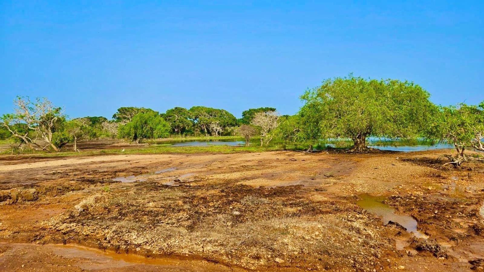 Eden Yala Hotel Buitenkant foto