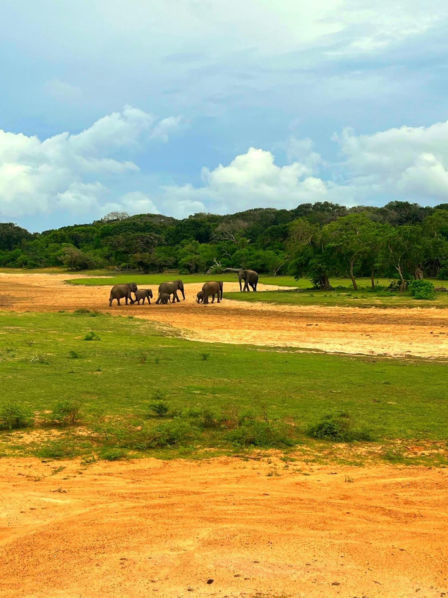 Eden Yala Hotel Buitenkant foto